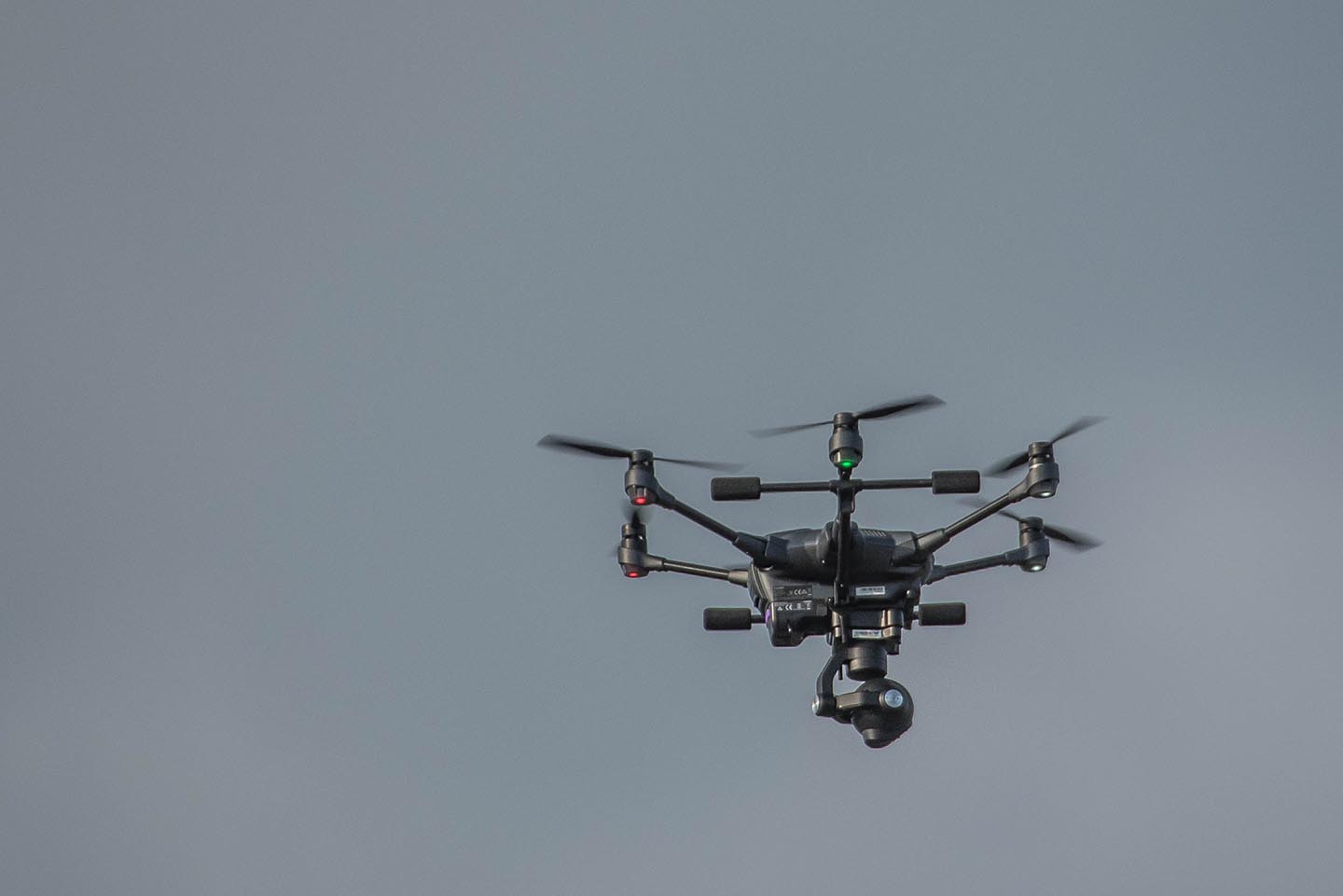 DLN Drone 2017.jpg