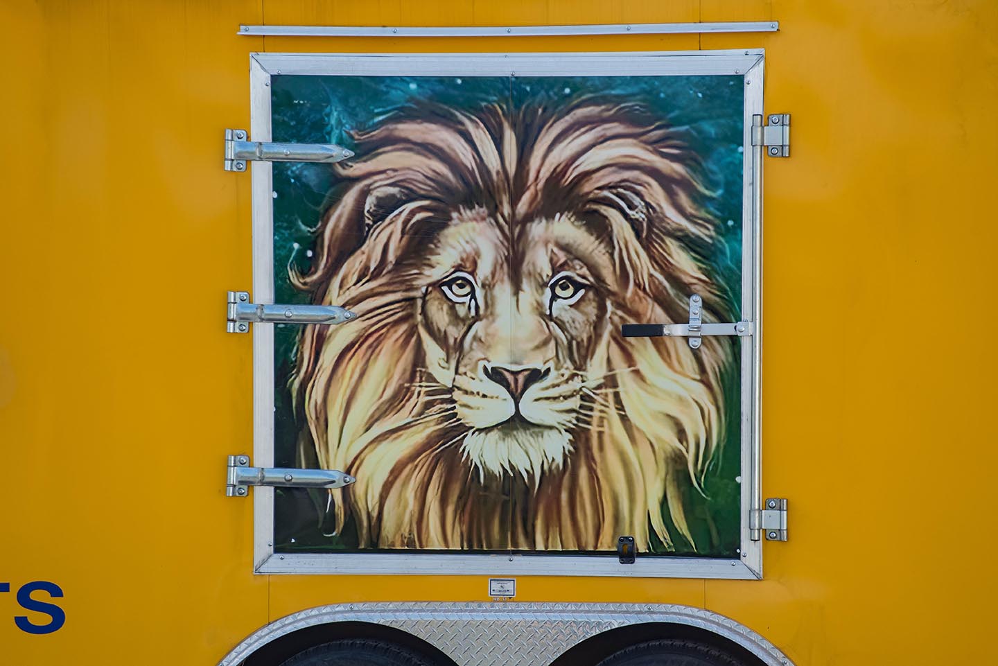 Lions trailer 1.jpg