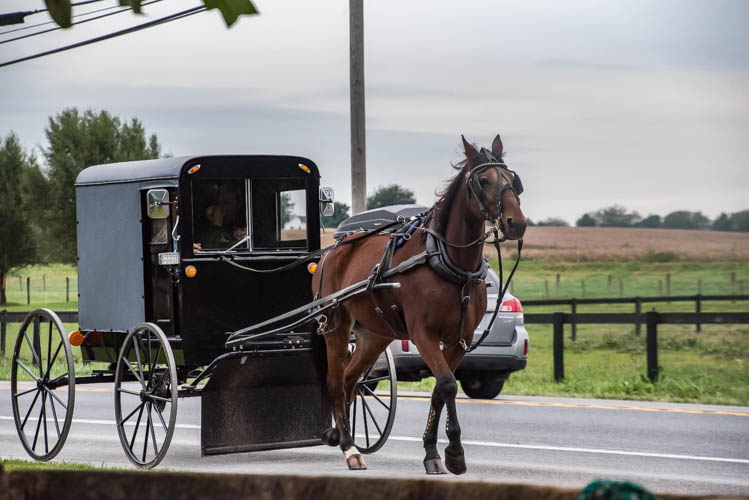 Amish Afternoonl 1st Sunday 5.jpg